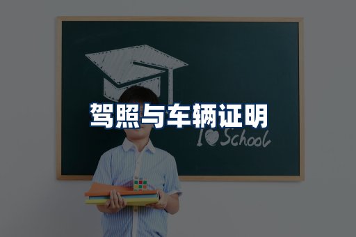 车辆证明展示