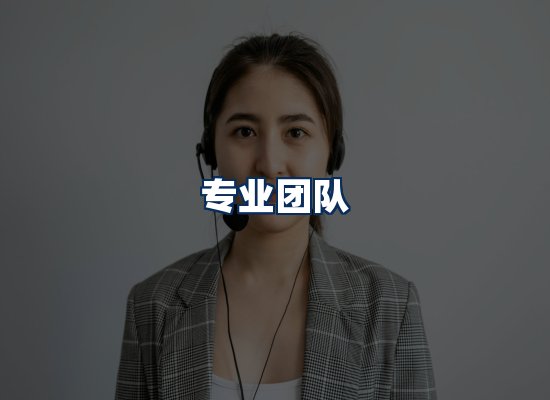 专业团队